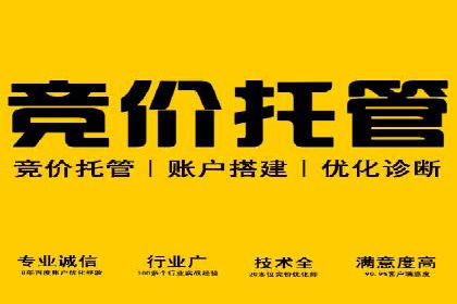 sem百度竞价成功案例：如何精准投放广告